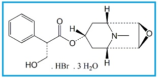 Hyoscine Butylbromide EP Impurity A